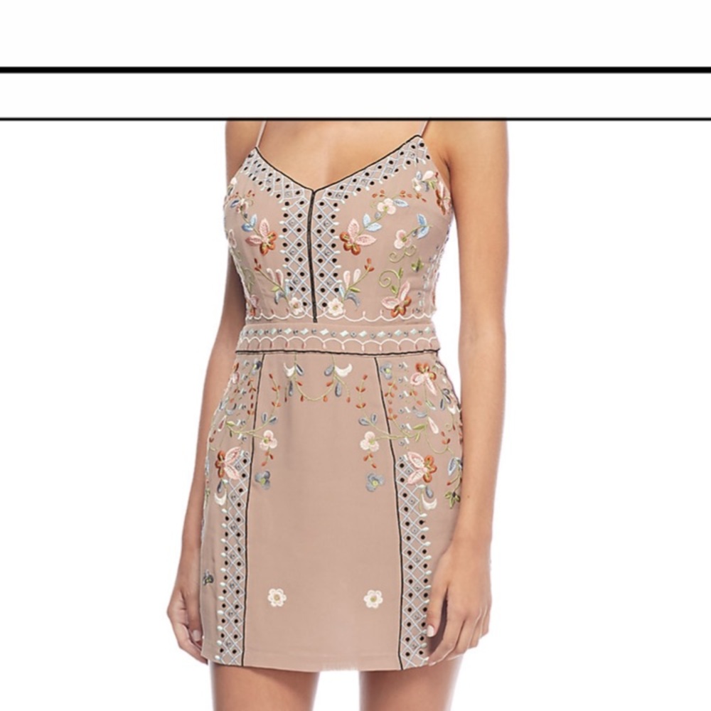 Bijou Embroidered Stitch Mesh Dress- NWT!